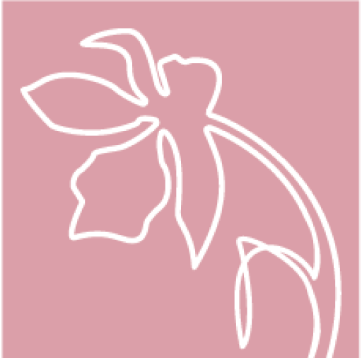 Orchid Beauty Boutique 